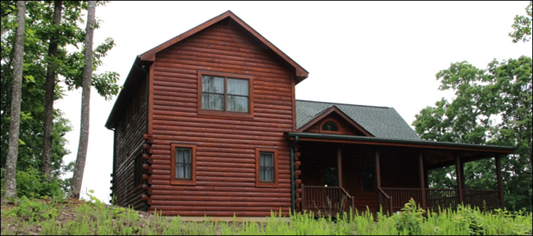 Professional Log Home Borate Application  Pike County, Ohio